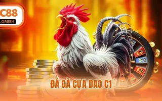 Đá Gà Cựa Dao C1 - Những Cuộc Đối Đầu Chiến Kê Nảy Lửa