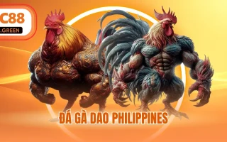 Đá Gà Dao Philippines - Những Trận Đấu Kịch Tính Quốc Tế